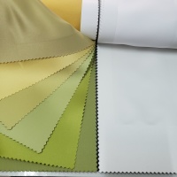 BỘ SƯU TẬP MOOMBEAM CỦA ACACIA 